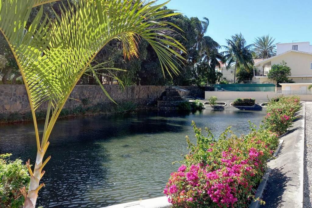 Le Dattier Holidays Flic en Flac Exterior foto